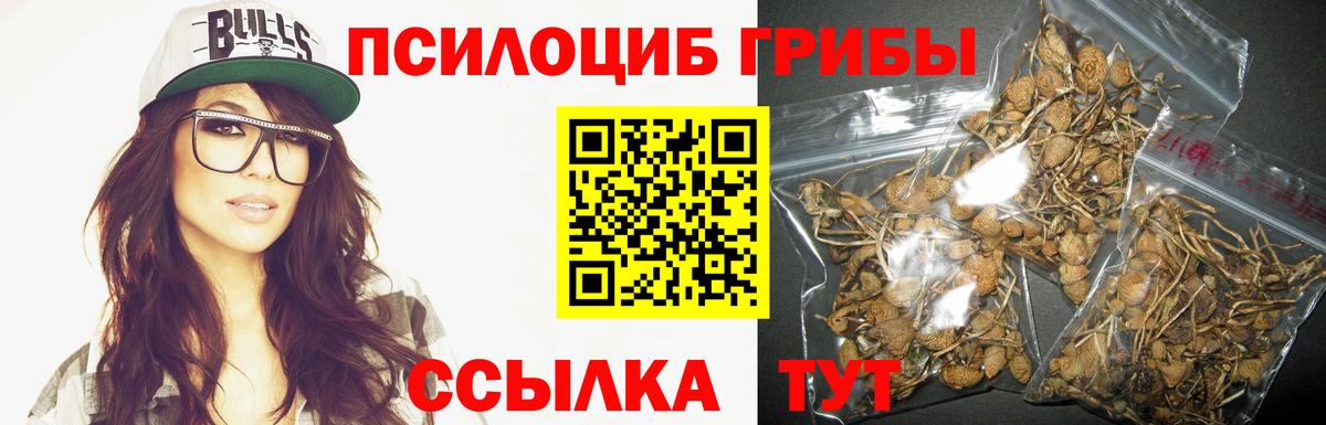 Вичуга  Галлюциногенные грибы Psilocybine cubensis  Вход с VPN  Галлюциногенные грибы ЛСД 